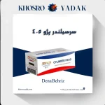 سرسیلندر پژو 405 دنا بهریز